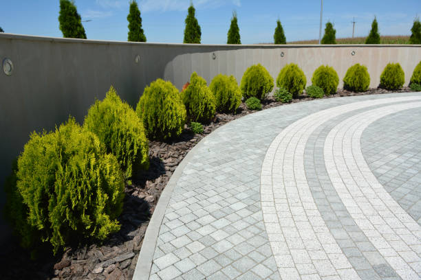 Best Residential Paver Driveway  in Lakefield, MN